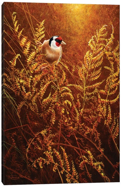 Autumn Ferns - Goldfinch Canvas Art Print - Finch Art