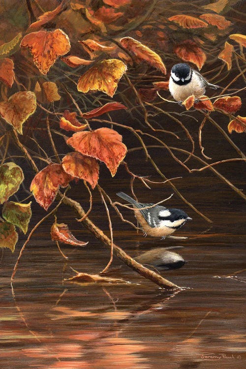 Autumn Leaves - Coal Tits by Jeremy Paul wall art