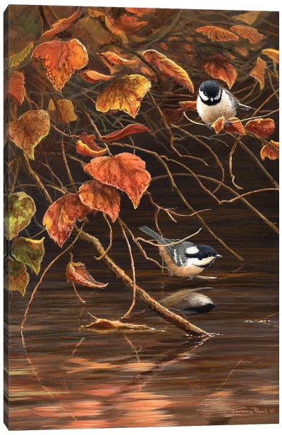 Autumn Leaves - Coal Tits Canvas Art Print - Jeremy Paul