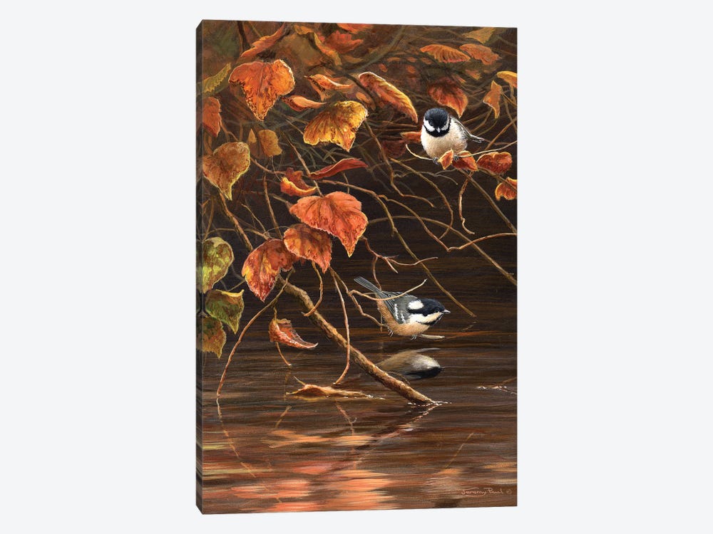 Autumn Leaves - Coal Tits by Jeremy Paul 1-piece Canvas Artwork