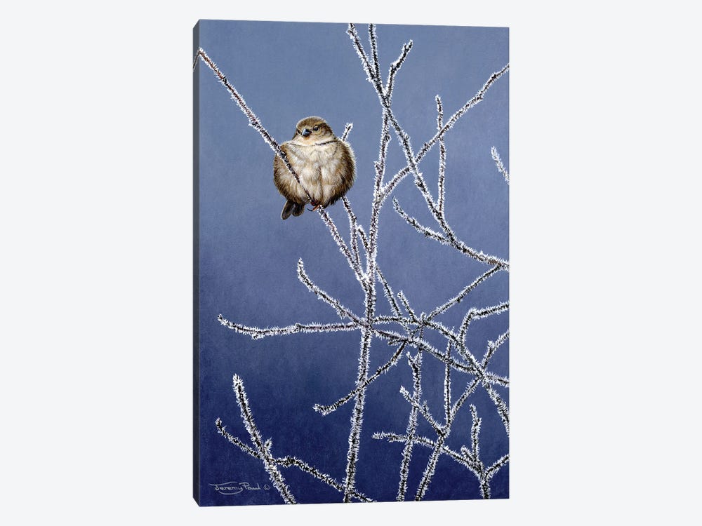 Frosted Branches - Sparrow by Jeremy Paul 1-piece Canvas Artwork