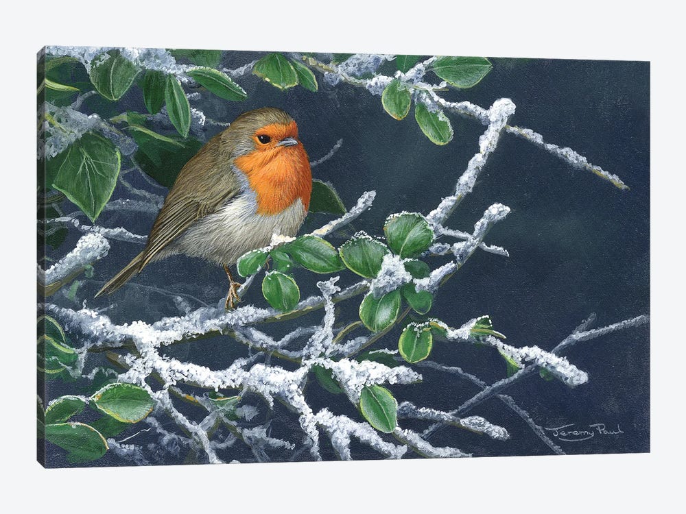 Robin In Winter by Jeremy Paul 1-piece Canvas Art
