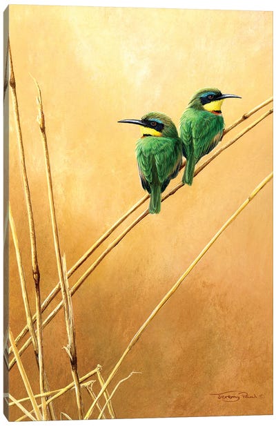 Little Bee -Eaters Canvas Art Print - Love Birds