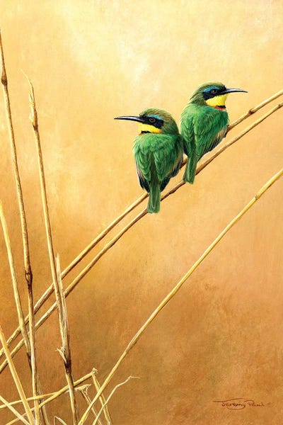 Love Birds: Little Bee -Eaters by Jeremy Paul
