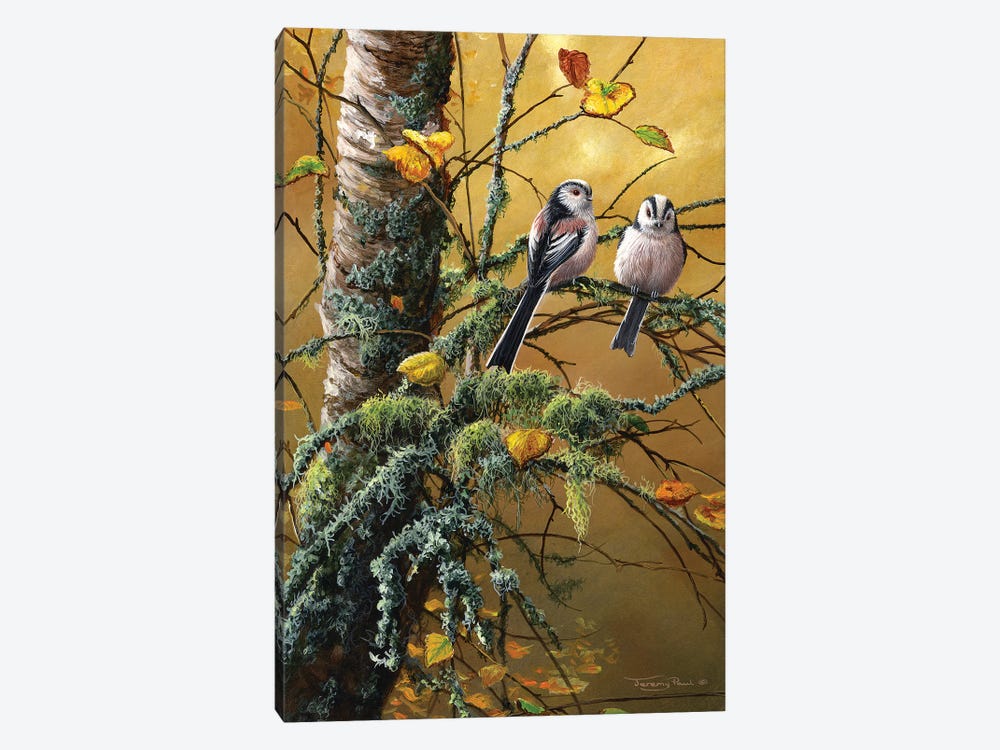 Long Tailed Tits And Lichens by Jeremy Paul 1-piece Canvas Artwork