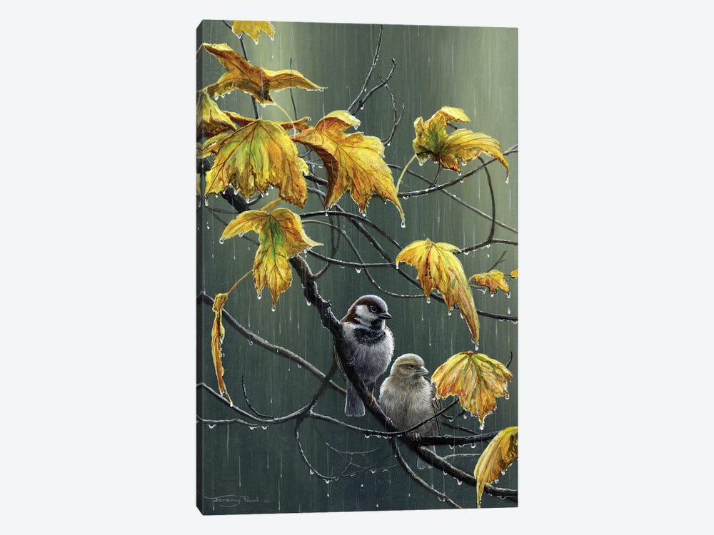 Rain Drops - Sparrows by Jeremy Paul 1-piece Art Print