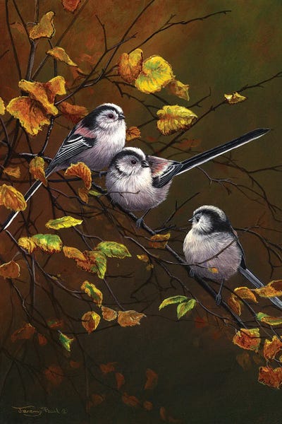 Long Tailed Tits - Autumn by Jeremy Paul canvas print