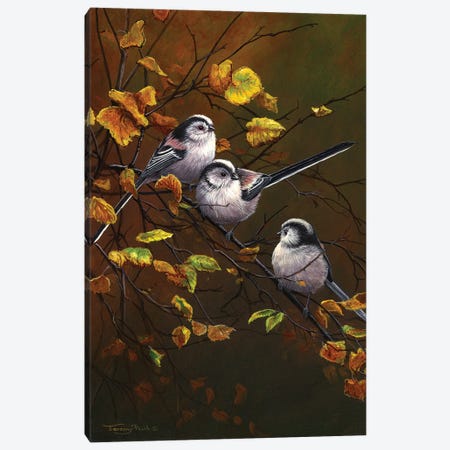 Long Tailed Tits - Autumn Canvas Print #JYP55} by Jeremy Paul Art Print