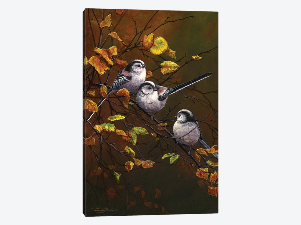 Long Tailed Tits - Autumn by Jeremy Paul 1-piece Canvas Art Print