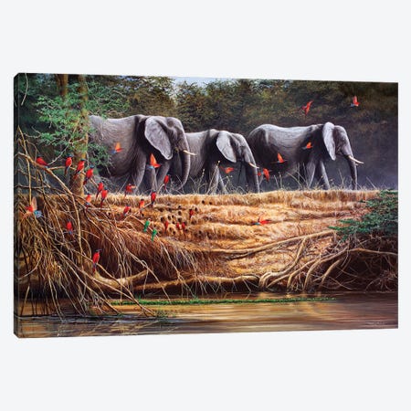 Passing By - Elephants And Bee-Eaters Canvas Print #JYP56} by Jeremy Paul Canvas Print