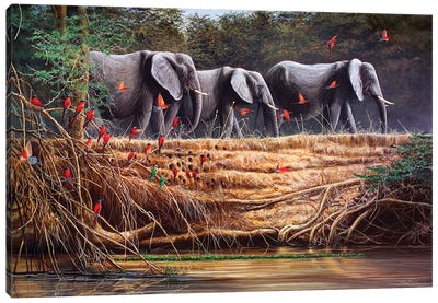 Passing By - Elephants And Bee-Eaters Canvas Art Print - Jeremy Paul