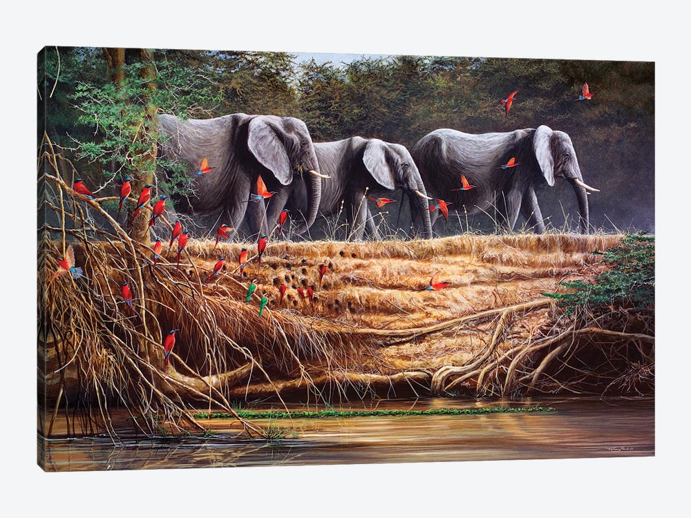 Passing By - Elephants And Bee-Eaters 1-piece Canvas Art