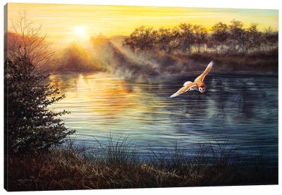 River Light - Barn Owl Canvas Art Print - Jeremy Paul