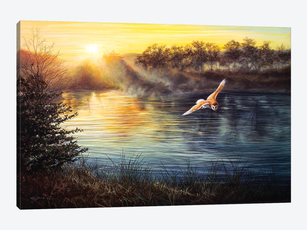 River Light - Barn Owl by Jeremy Paul 1-piece Canvas Print
