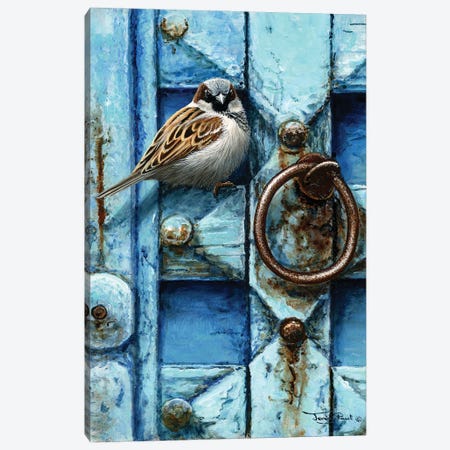 House Sparrow - Blue Door Canvas Print #JYP5} by Jeremy Paul Canvas Wall Art