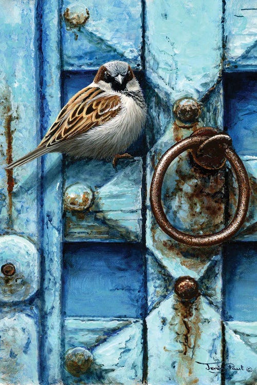 House Sparrow - Blue Door by Jeremy Paul wall art