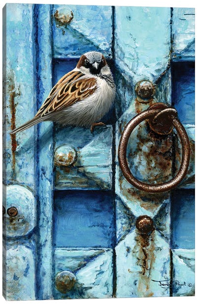 House Sparrow - Blue Door Canvas Art Print - Jeremy Paul