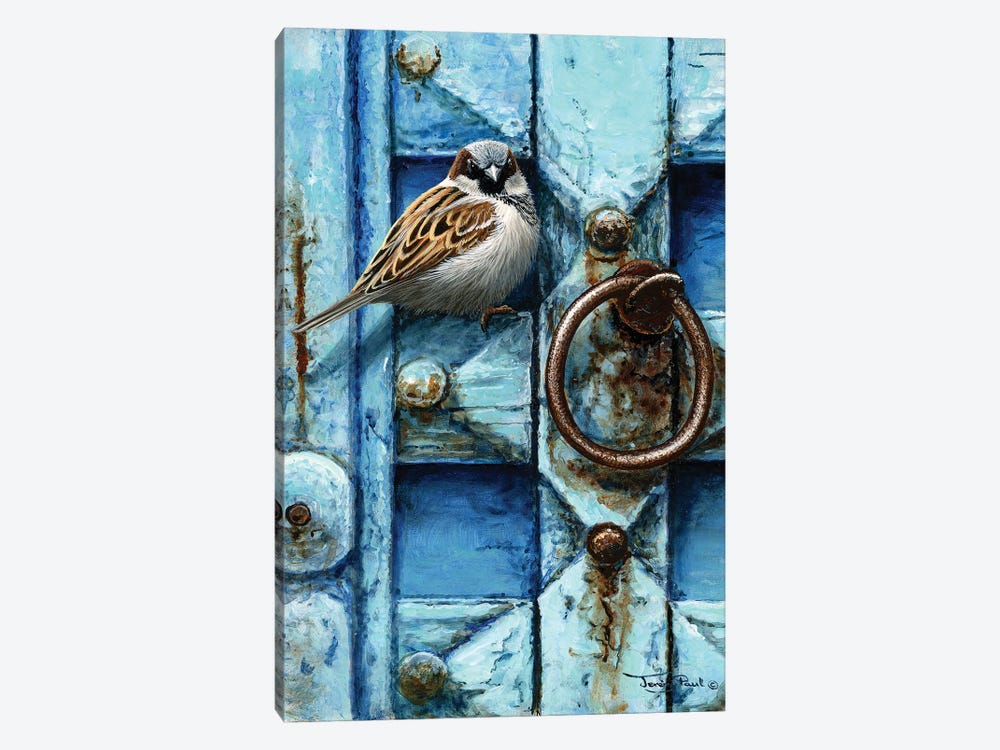 House Sparrow - Blue Door by Jeremy Paul 1-piece Canvas Art