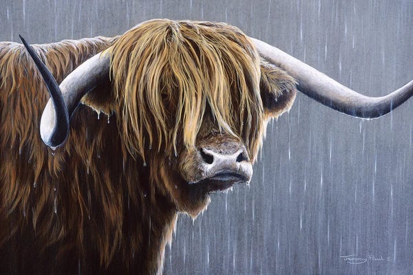 Jeremy Paul: Highlander by Jeremy Paul