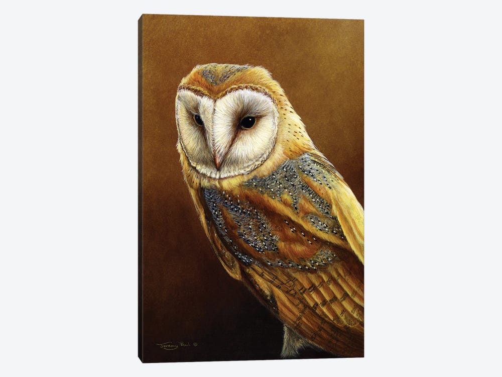 Roosting Place - Barn Owl by Jeremy Paul 1-piece Canvas Artwork