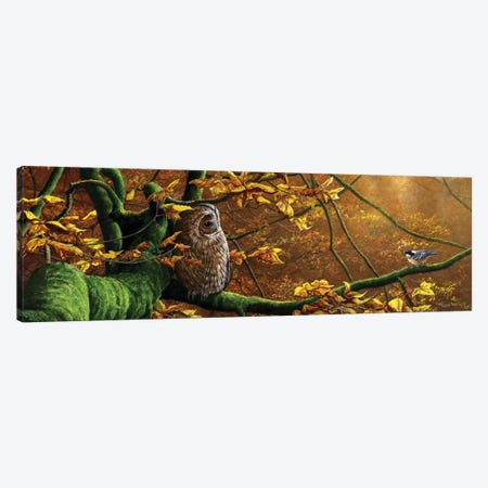Mobbed - Tawny Owl And Coal Tit Canvas Print #JYP64} by Jeremy Paul Canvas Wall Art