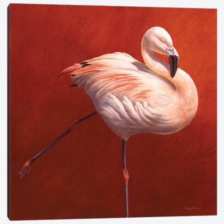 Flame Bird Canvas Print #JYP65} by Jeremy Paul Canvas Art