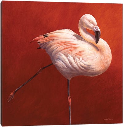Flame Bird Canvas Art Print - Red Art