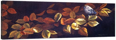 Autumn Gold - Goldcrests Canvas Art Print - Jeremy Paul