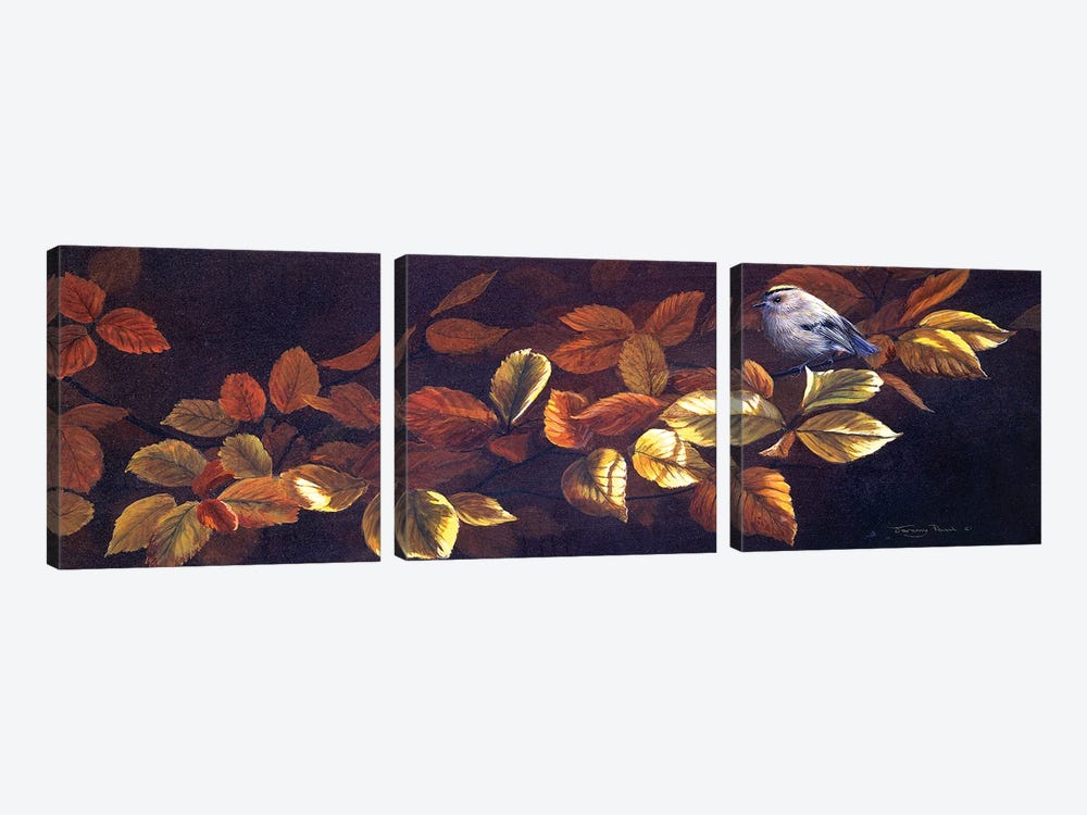Autumn Gold - Goldcrests by Jeremy Paul 3-piece Canvas Print