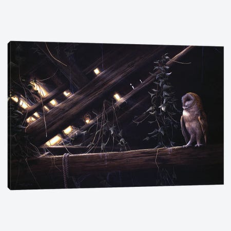 Barn Owl Canvas Print #JYP68} by Jeremy Paul Canvas Print