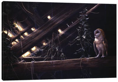 Barn Owl Canvas Art Print - Jeremy Paul