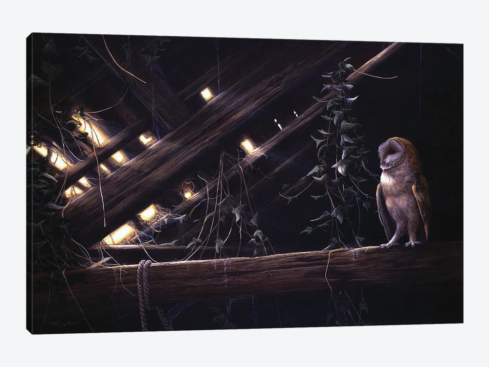 Barn Owl by Jeremy Paul 1-piece Art Print