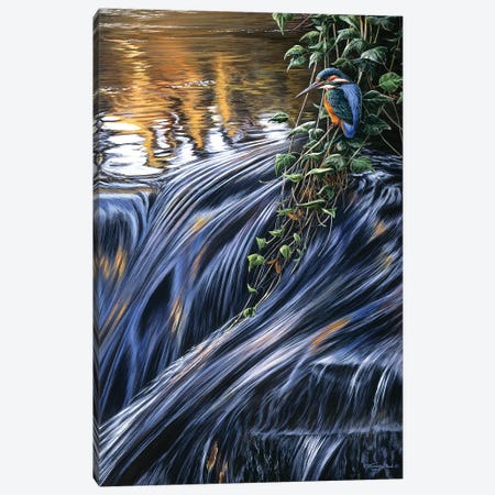 Kingfisher Falls Canvas Print #JYP69} by Jeremy Paul Canvas Art Print