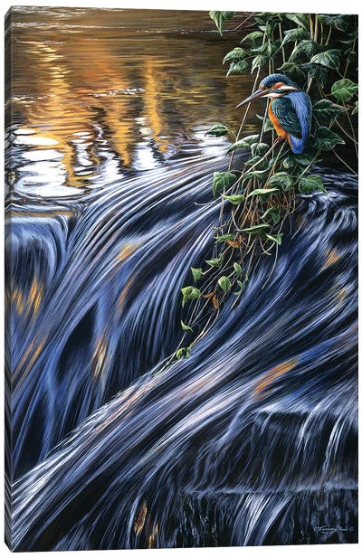 Kingfisher Falls Canvas Art Print - Kingfisher Art