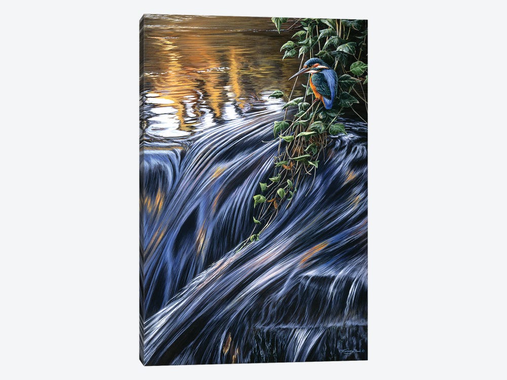 Kingfisher Falls by Jeremy Paul 1-piece Canvas Artwork