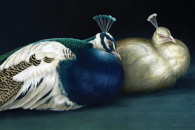 Peacocks by Jeremy Paul wall art