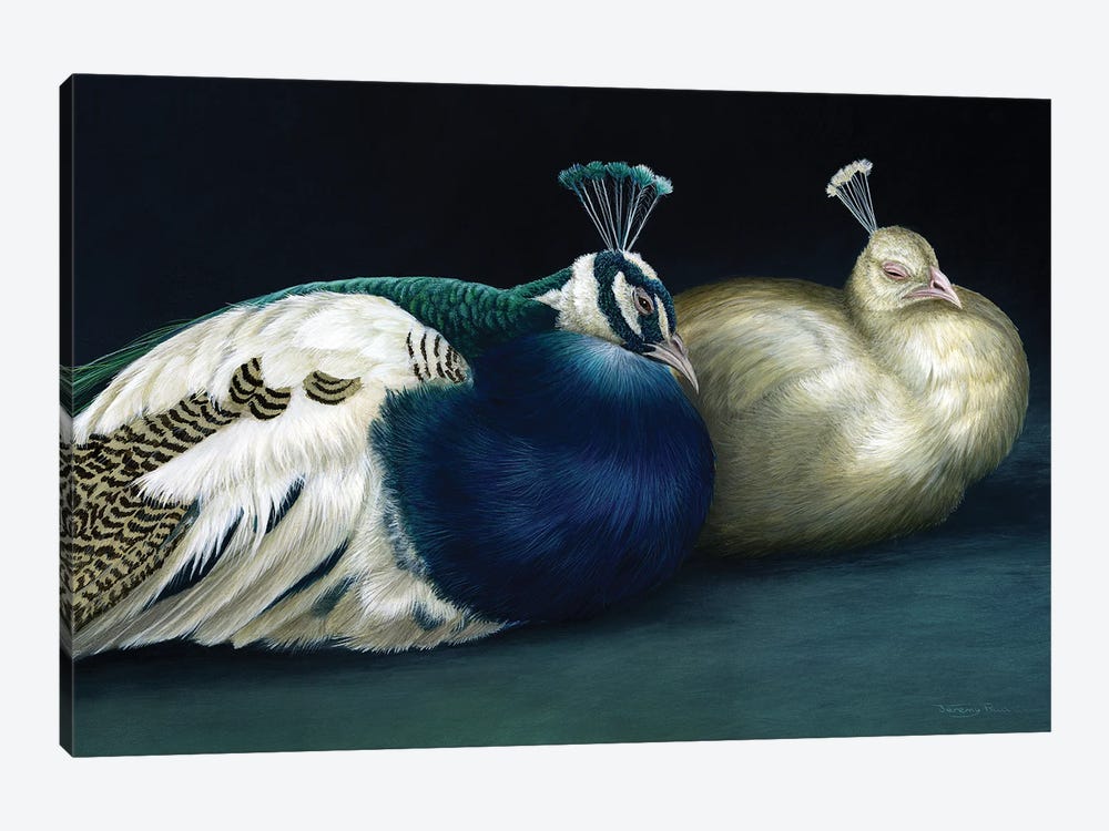 Peacocks by Jeremy Paul 1-piece Art Print
