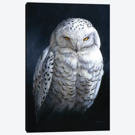 Spirit Of The North - Snowy Owl Canvas Print #JYP70} by Jeremy Paul Canvas Artwork