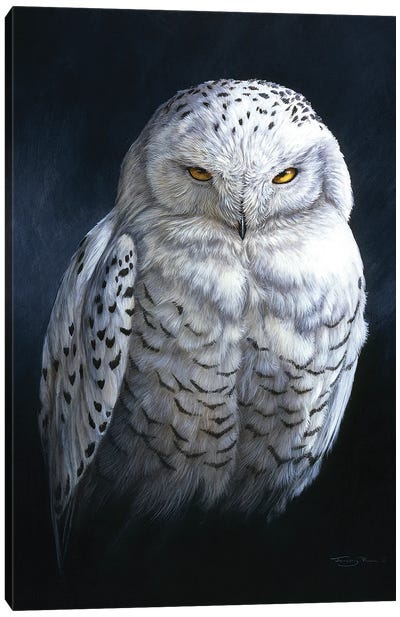 Spirit Of The North - Snowy Owl Canvas Art Print - Traditional Living Room Art