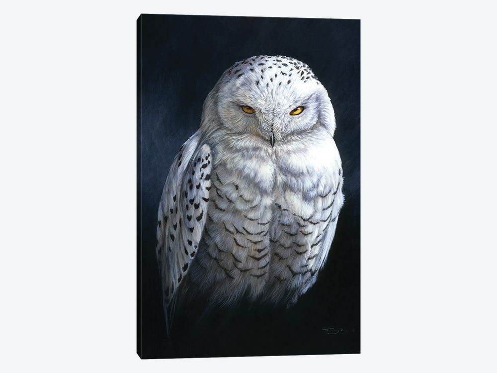 Spirit Of The North - Snowy Owl by Jeremy Paul 1-piece Canvas Art