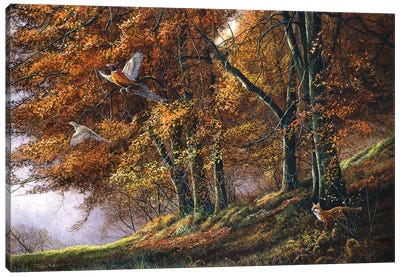 Autumn - Fox And Pheasants Canvas Art Print - Cabin & Lodge Décor
