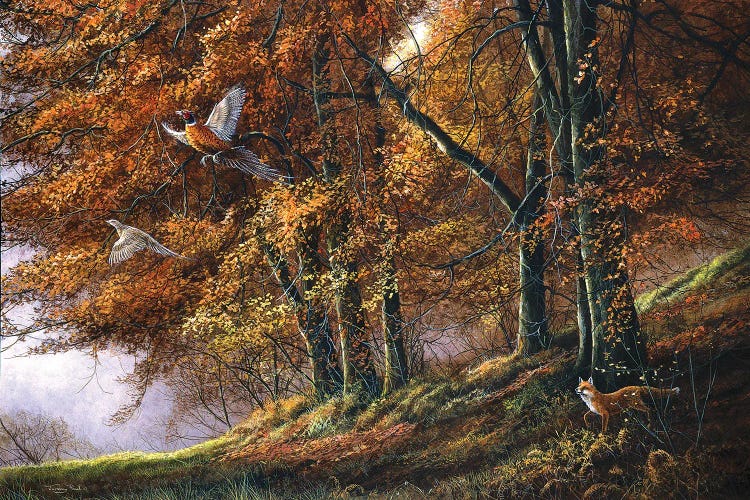 Autumn - Fox And Pheasants