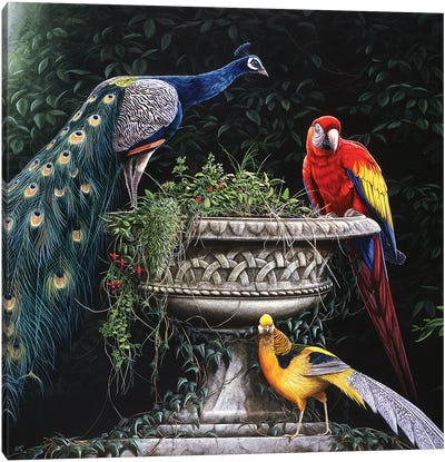 Exotica Canvas Art Print - Parrot Art