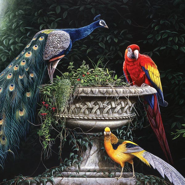 Funky Fine Art: Exotica by Jeremy Paul