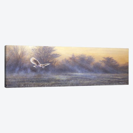Morning Mist - Barn Owl Canvas Print #JYP74} by Jeremy Paul Canvas Print