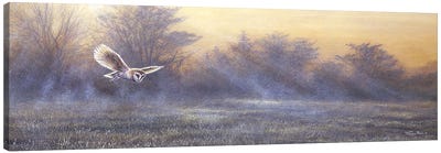 Morning Mist - Barn Owl Canvas Art Print - Jeremy Paul