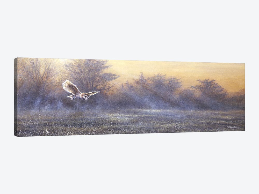 Morning Mist - Barn Owl by Jeremy Paul 1-piece Canvas Artwork
