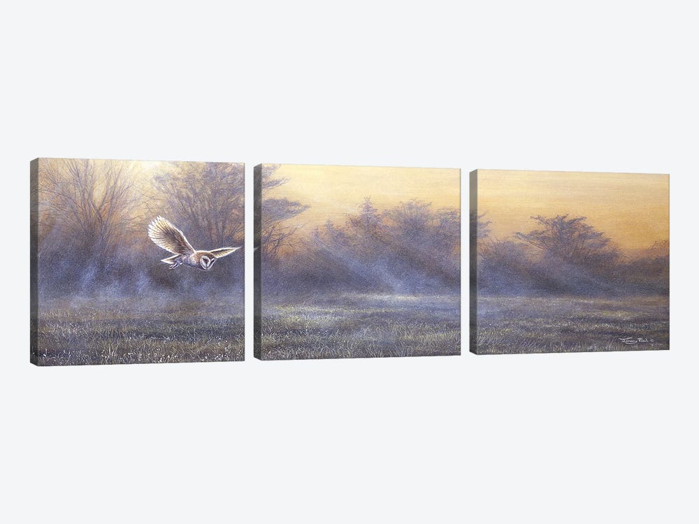 Morning Mist - Barn Owl by Jeremy Paul 3-piece Canvas Wall Art
