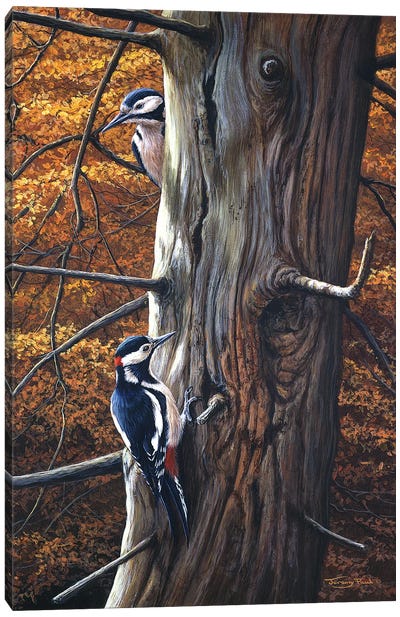 Great Spotted Woodpeckers Canvas Art Print - Woodpecker Art