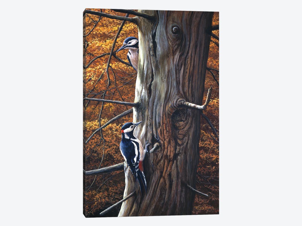 Great Spotted Woodpeckers by Jeremy Paul 1-piece Canvas Art Print